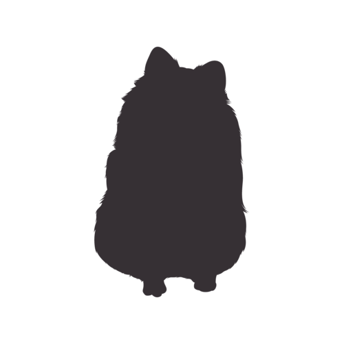 Silhouette di cane Spitz Nano seduto