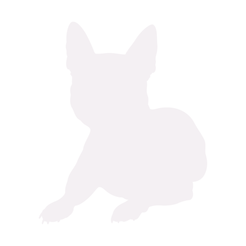 Silhouette di cane Bulldog Francese seduto