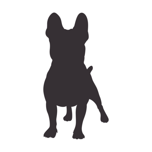 Silhouette di cane Bulldog Francese in piedi