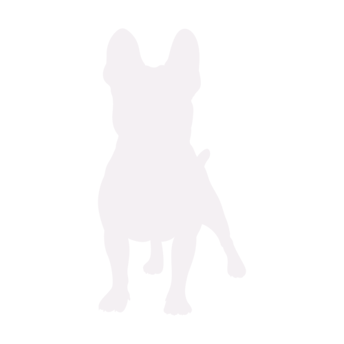 Silhouette di cane Bulldog Francese in piedi