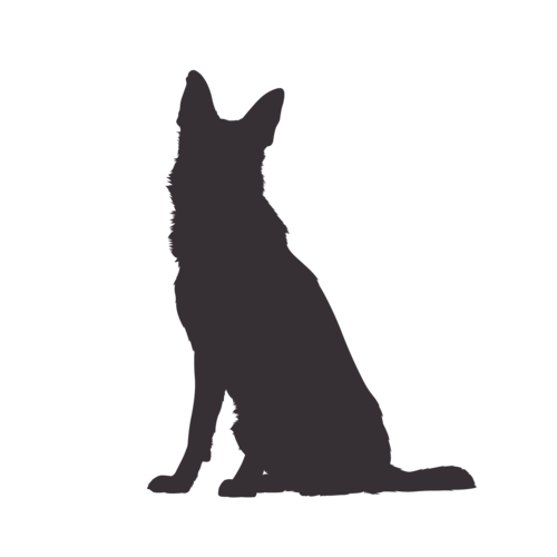Silhouette di cane Pastore Tedesco seduto