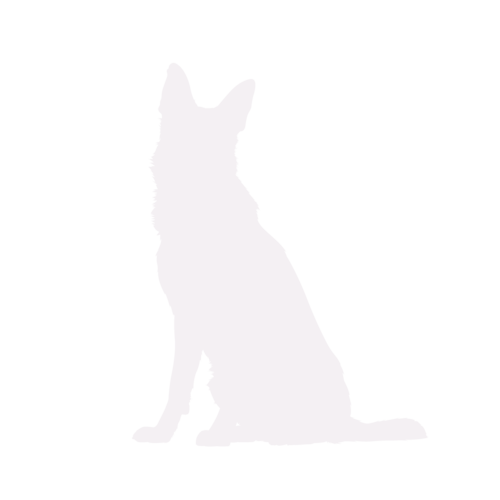 Silhouette di cane Pastore Tedesco seduto