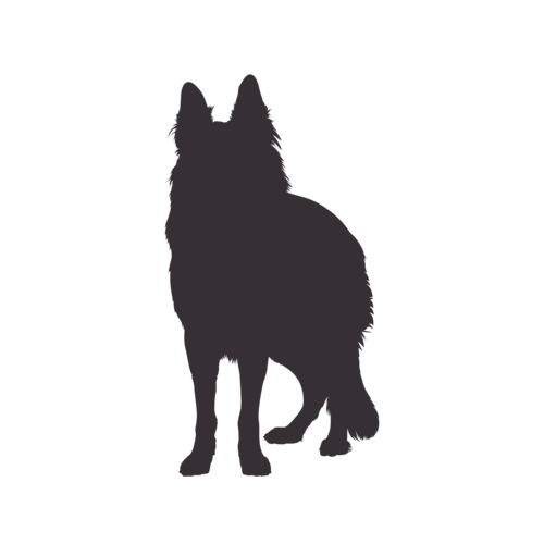 Silhouette di cane Pastore Tedesco in piedi