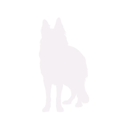 Silhouette di cane Pastore Tedesco in piedi