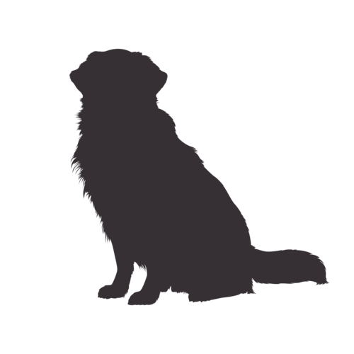 Silhouette di cane Golden Retriever seduto