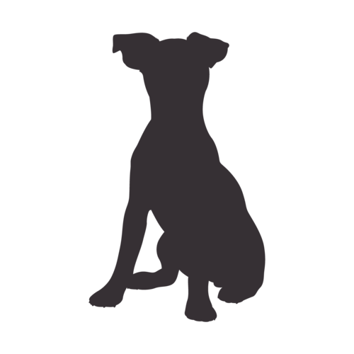 Silhouette di cane Jack Russell Terrier seduto