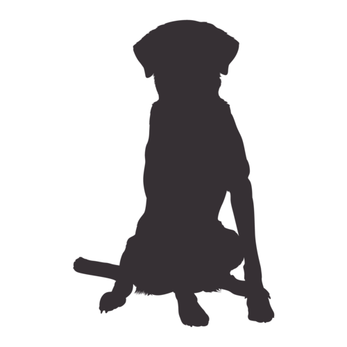 Silhouette di cane Labrador seduto