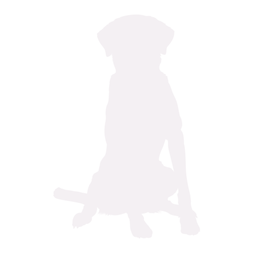 Silhouette di cane Labrador seduto