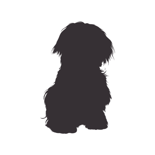 Silhouette di cane Maltese seduto