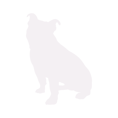 Silhouette di cane Old English Bulldog seduto