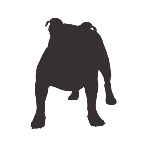 Silhouette di cane Old English Bulldog in piedi