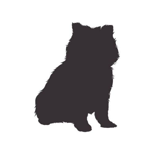Silhouette di cane Pomerania seduto