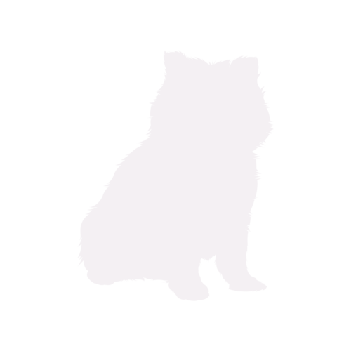 Silhouette di cane Pomerania seduto