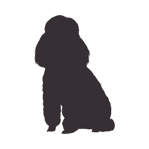 Silhouette di cane Barboncino seduto