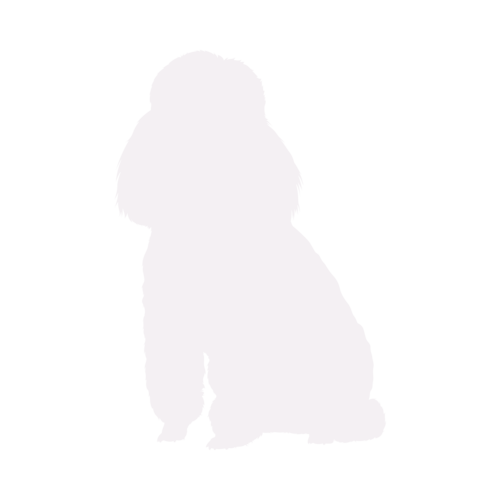 Silhouette di cane Barboncino seduto
