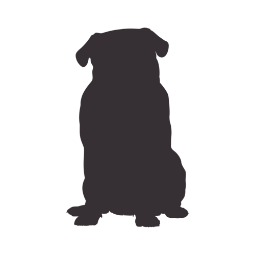Silhouette di cane Carlino seduto