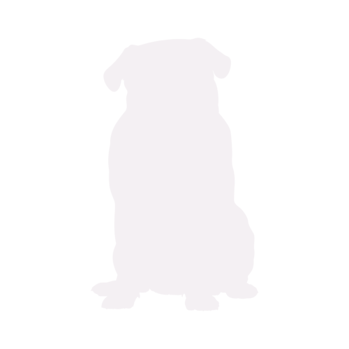 Silhouette di cane Carlino seduto