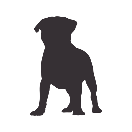 Silhouette di cane Carlino in piedi
