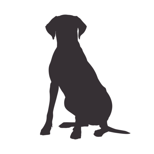 Silhouette di cane Rhodesian Ridgeback seduto