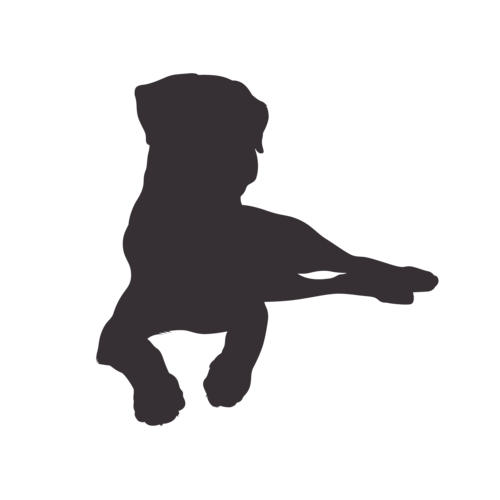 Silhouette di cane Rottweiler seduto