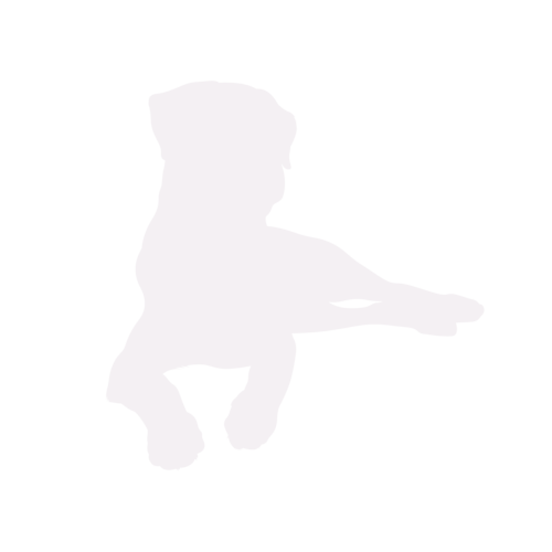 Silhouette di cane Rottweiler seduto