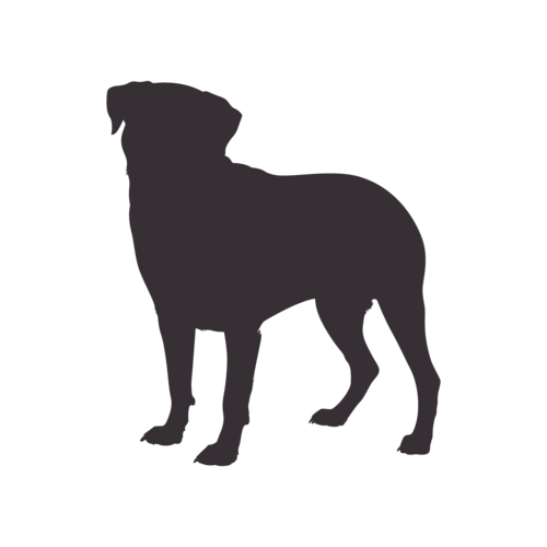 Silhouette di cane Rottweiler in piedi