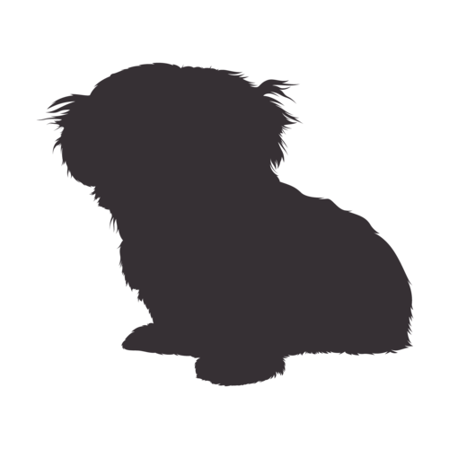 Silhouette di cane Shih Tzu seduto