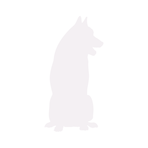 Silhouette di cane Siberian Husky seduto