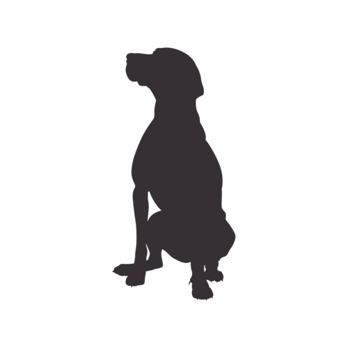 Silhouette di cane Vizsla Ungherese seduto