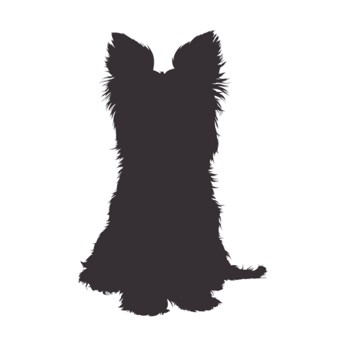 Silhouette di cane Yorkshire Terrier seduto