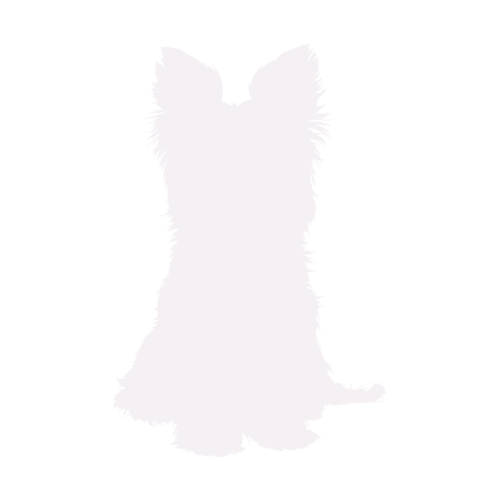 Silhouette di cane Yorkshire Terrier seduto