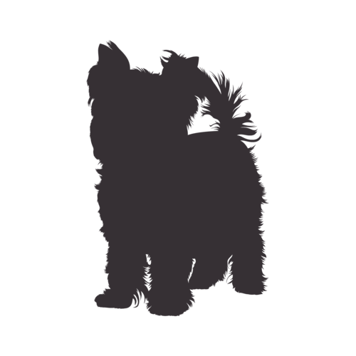 Silhouette di cane Yorkshire Terrier in piedi
