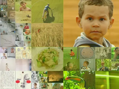 Dettaglio – mosaico: tessere più piccole nelle aree con forti contrasti